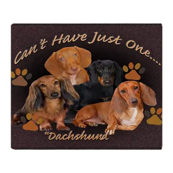 

Dachshund, Cant Have Just One Art Soft Fleece Throw Blanket Throws Fleece Blanket Manta Coberto For Sofa/Bed/Car/Office