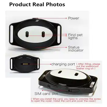 Pet GPS Tracker Locator Waterproof D79 For Cats Dogs And Other Small Pets Real time Anti Lost Tracking WiFi LBS GPS Positioning