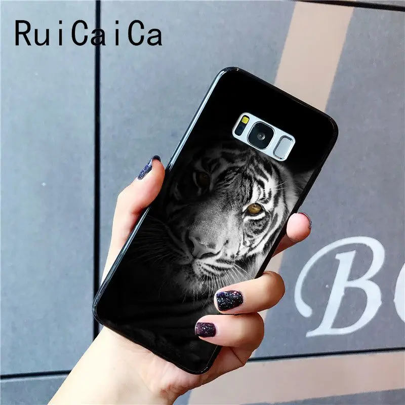 tiger fashion