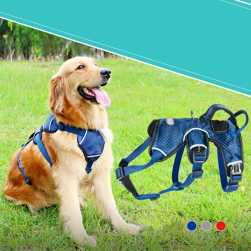 

Dog chest strap traction rope medium-sized large dog pet dog chain walking dog rope necklace K9