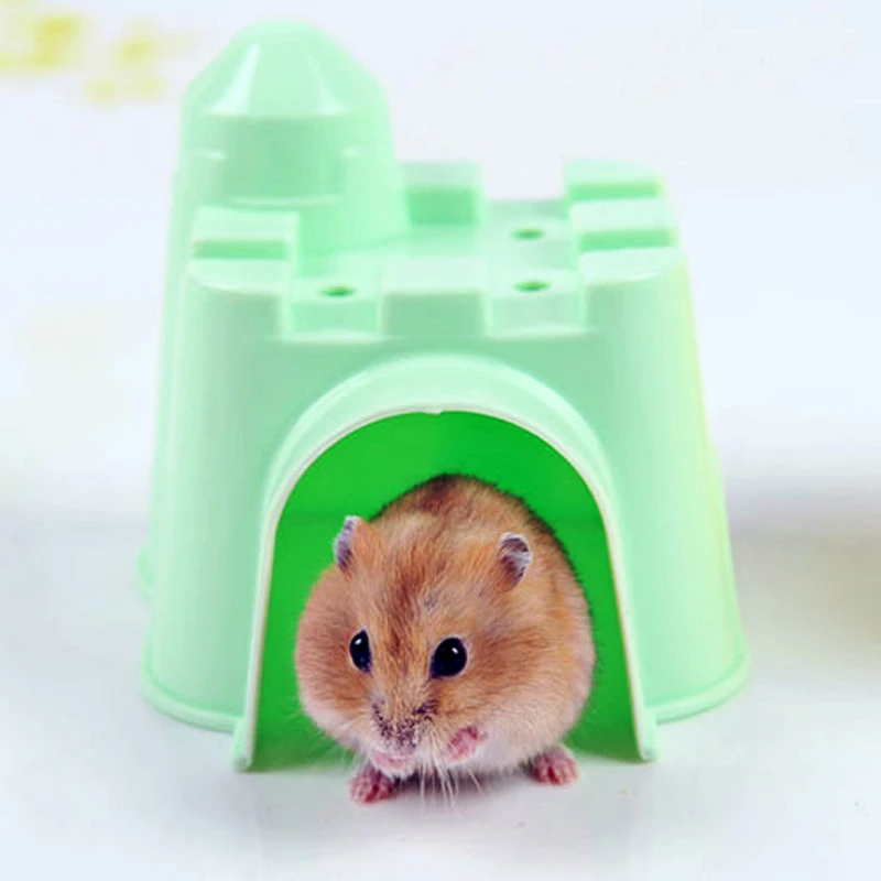 for hamsters