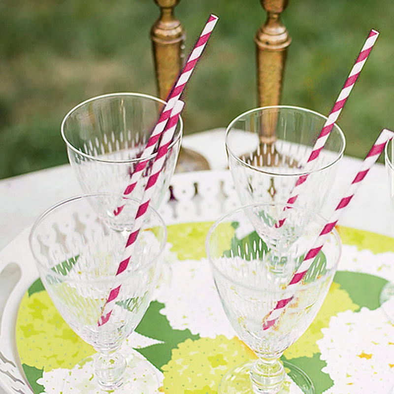 

25pcs Birthday Wedding Vintage Party Drinking Paper Straws Tableware Cake