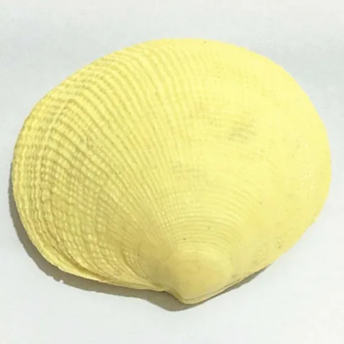 DIY shell shape mold handmade soap mould silicone mould shell casting diy craft clay resin molding tool