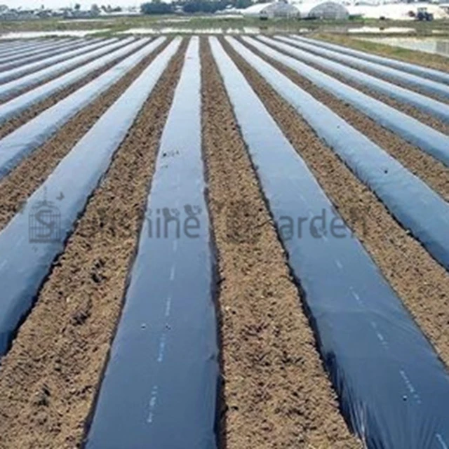 Fekete Mezőgazdasági Árnyék Film 1X50 Méter Eper Pe Kerti Virág Üvegházhatású Műanyag Talajtakaró 8 Mm Vastagság - Image 4