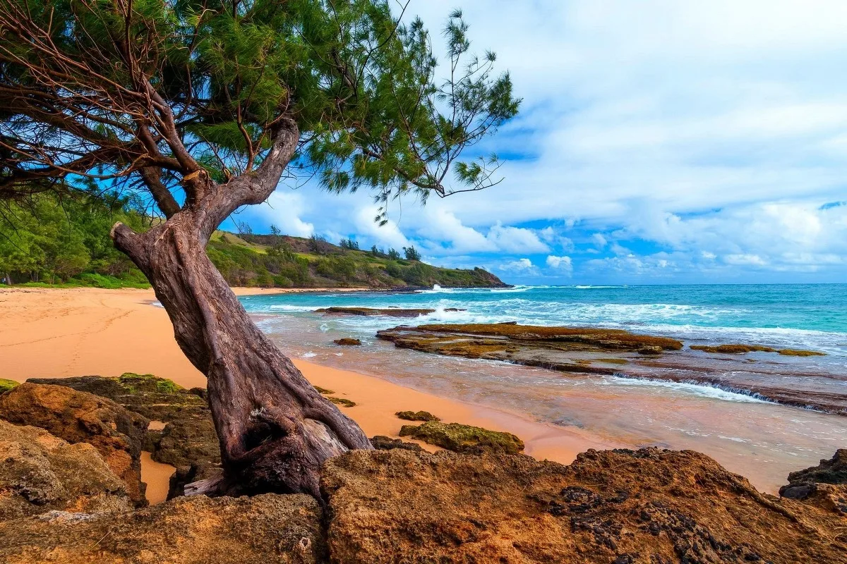 Холст Тканевый постер с рисунком на заказ (рама доступны) Kauai природа пейзаж 263TFJ