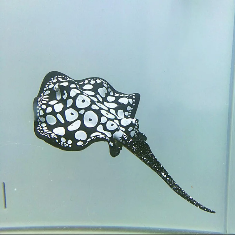 1pcs Mini Fish Tank Decor Devil Goldfish Silicone Luminous Fish Aquarium Jellyfish Artificial Luminous Fishes Tank Ornament