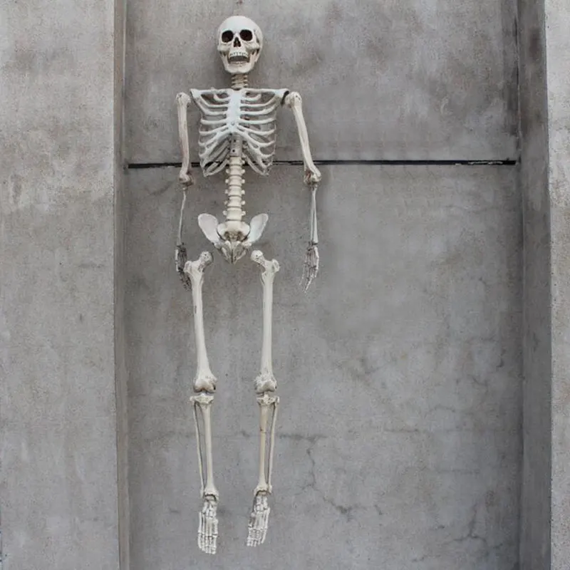 HTB1E8nOSpXXXXbVaXXXq6xXFXXXl