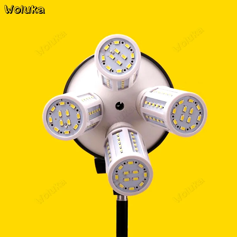 36020181227105719562