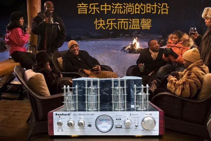

Electronic Tube Power Amplifier HIFI Stereo Audio Amplifier AMPS Support USB CD Bluetooth Audio Computer 220V