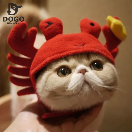 Homemade Cat In The Hat Homemade Cat In The Hat