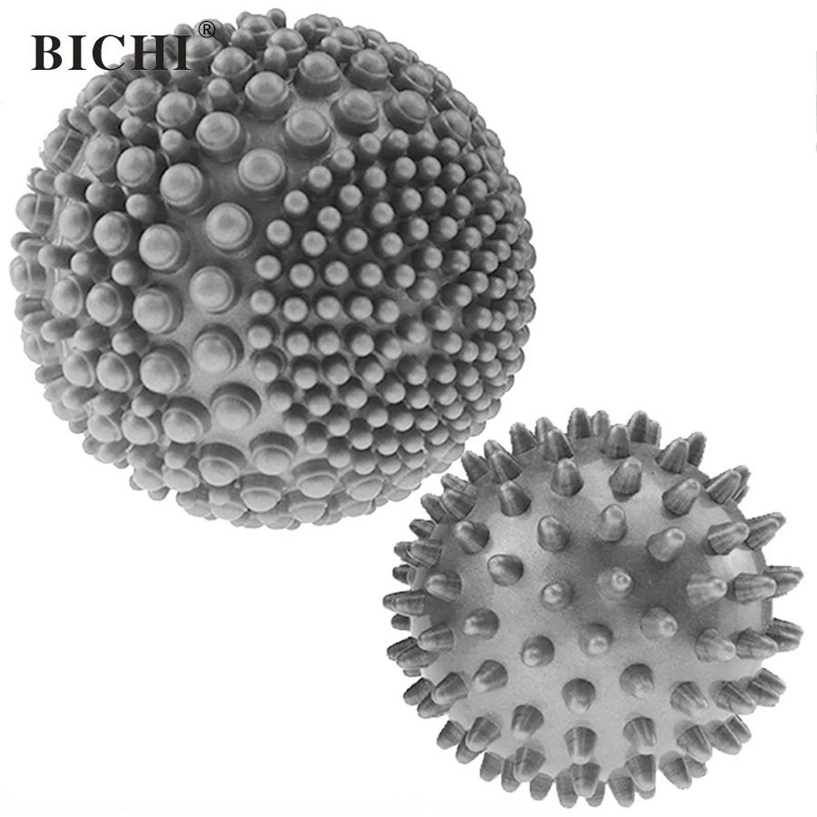 BIJS107 (2)