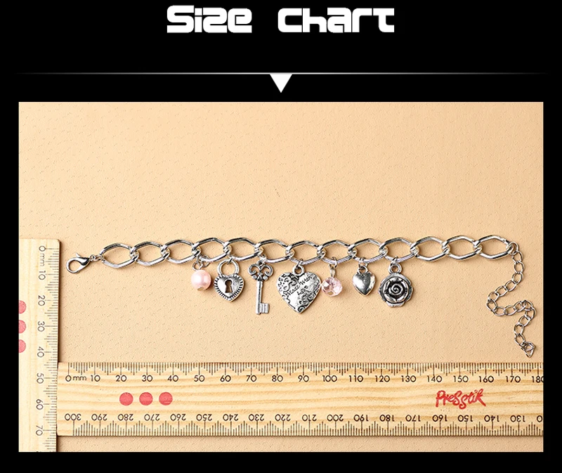 BSL04754