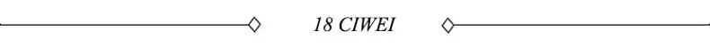 18CIWEI 790