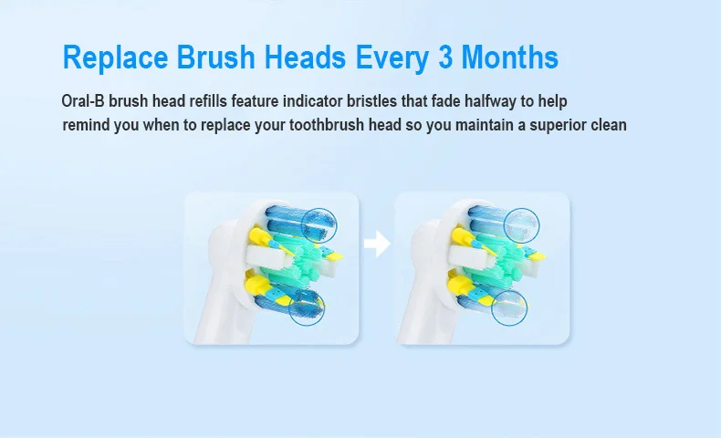 oral replacement b