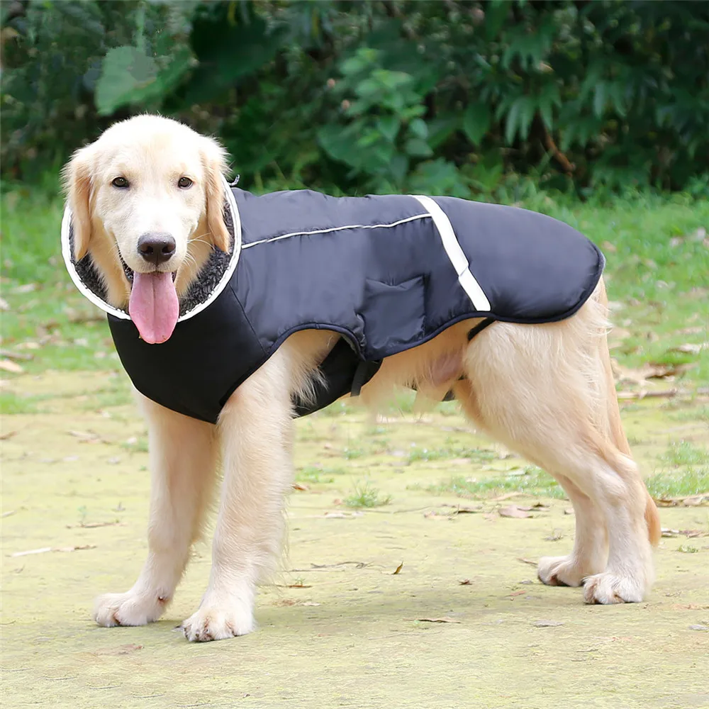 Waterproof Coats for Dog