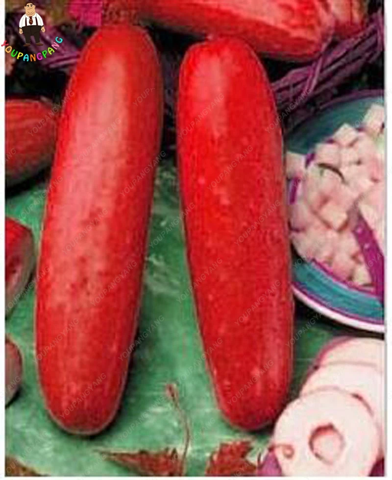 

100 plants/pack Super Big Rare Red Cucumber plants Organic Fruit Vegetables plants Edible Juicy Bonsai plants Free Shipping