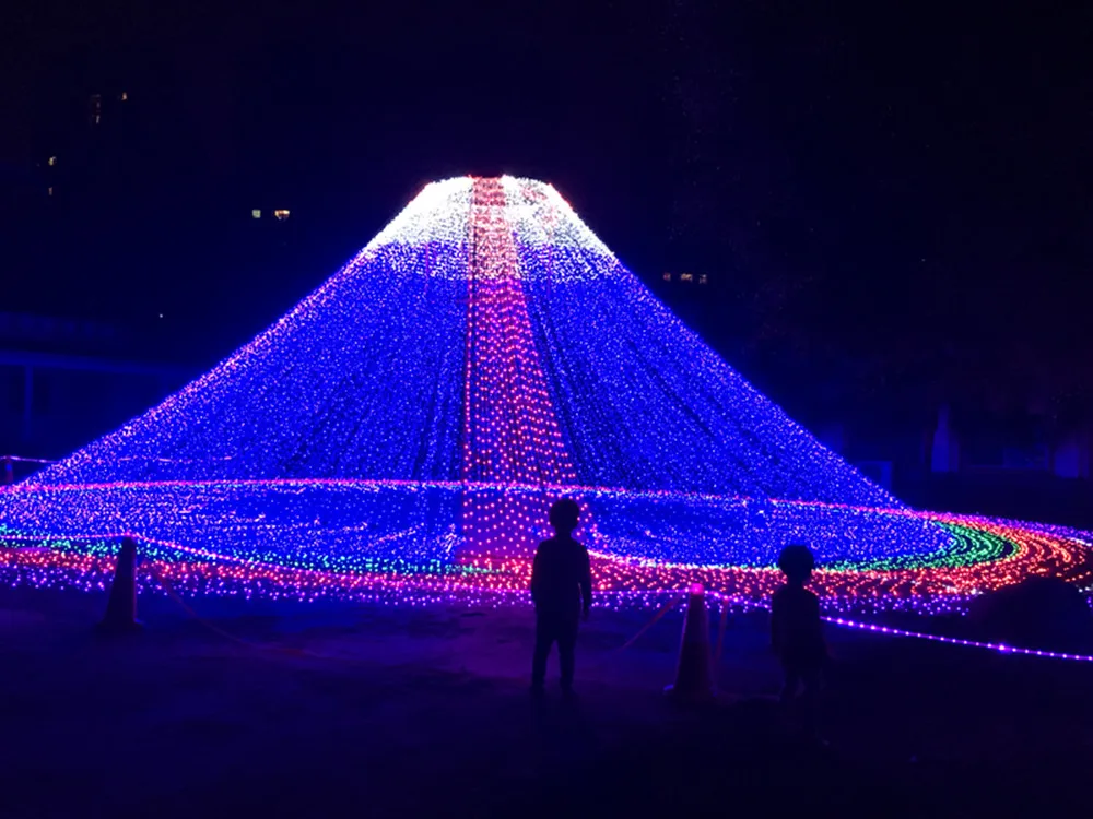 220V LED STRING LIGHTS EFFECTS BEAUTIFUL