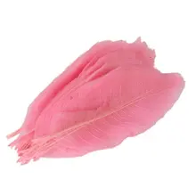 SOSW-50Pcs натуральный Кот Бриер Скелет листья карты скрапбук-розовый