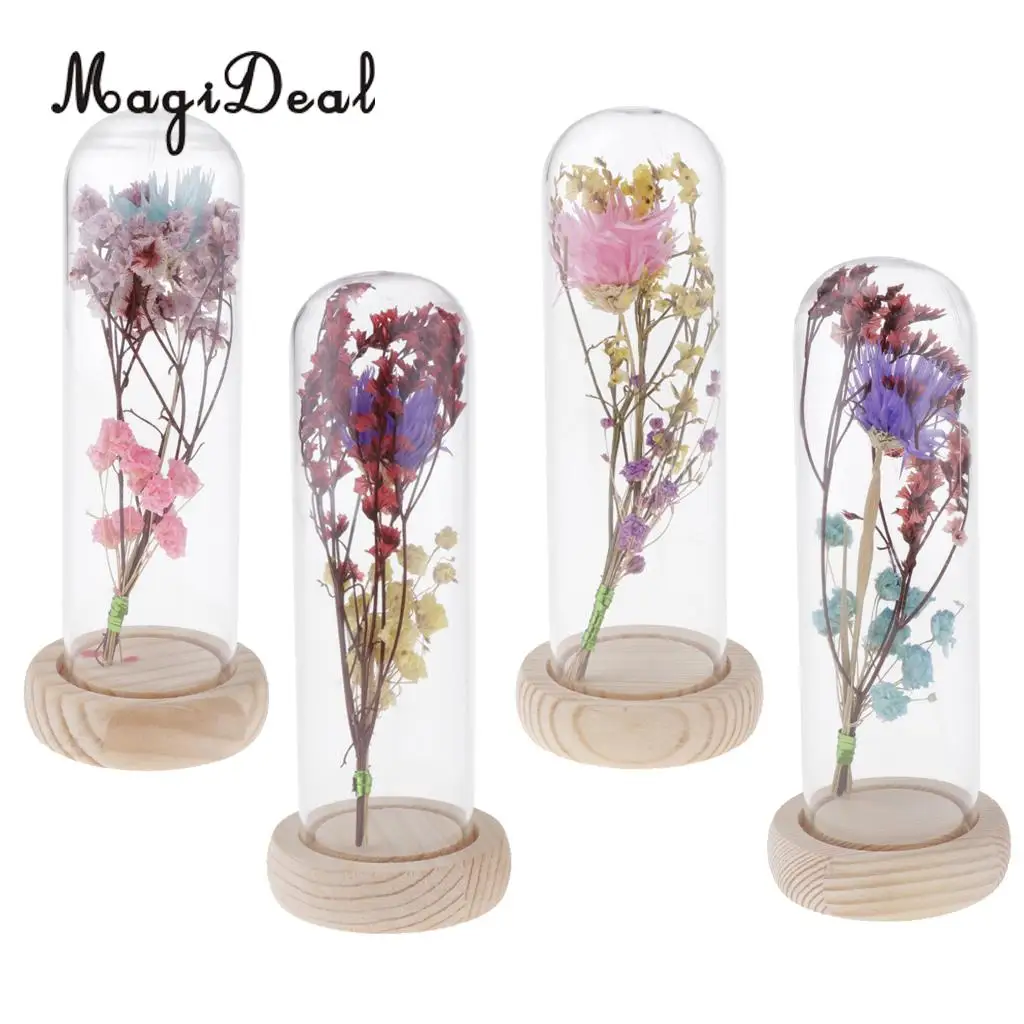 Clear Glass Display Cloche Bell Jar Dried Immortal Flower Preservation Vase Wooden Base Cafe Bar Countertop Decor Ornament