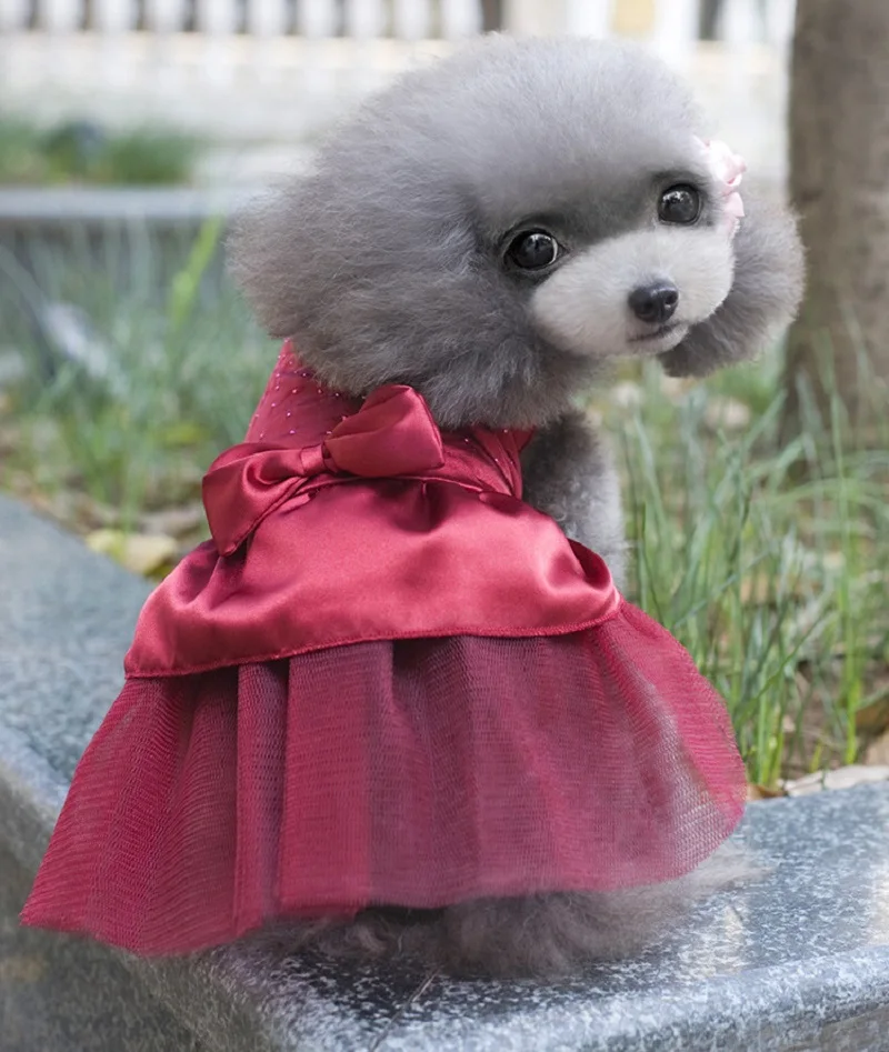 Buy Beautiful Dogs Puppy Wedding Party Lace Dress