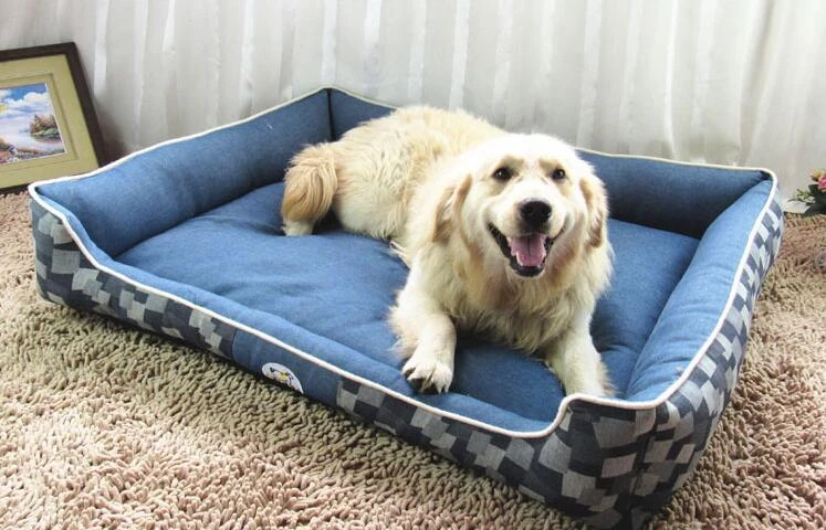 large canvas dog bed