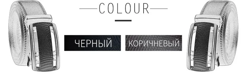 121weq_02