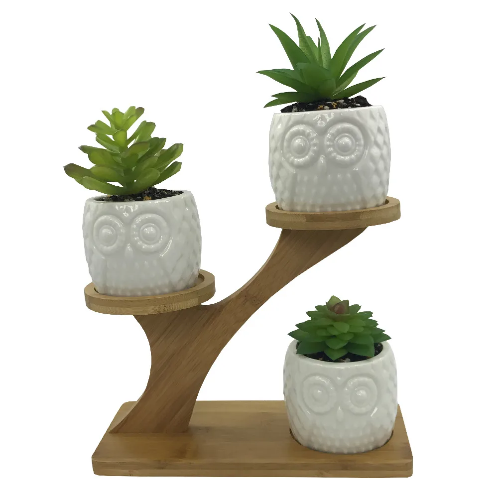

3 PCS Set Cute Animal Owl Shaped Ceramic Succulent Cactus Flower Plant Pots With Treetop Bamboo Stand for Home Decoration