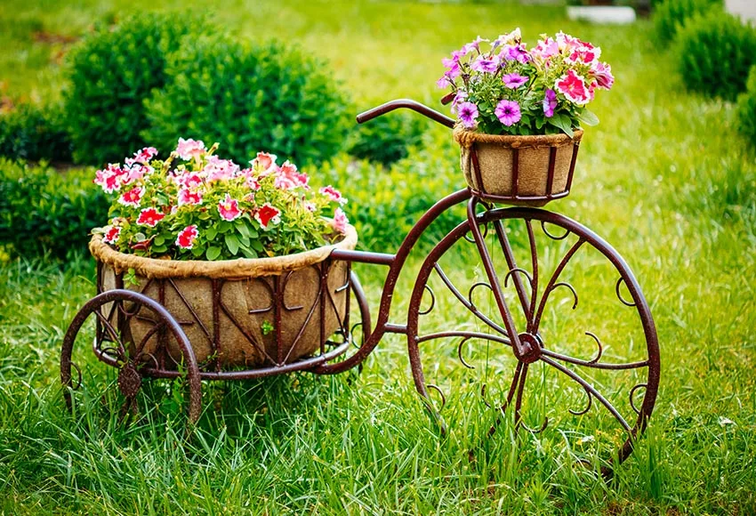 Фотографический фон Весна зеленое дерево природа горшок для цветов в виде велосипеда фон фотография фотосессия Фотофон для фотосессий