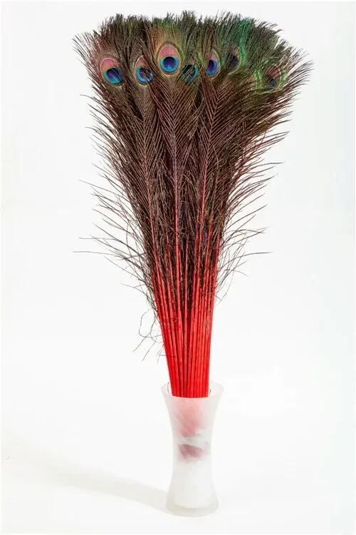 Wholesale red Peacock feather 100pcs 30 35inch(80 90cm) for party event