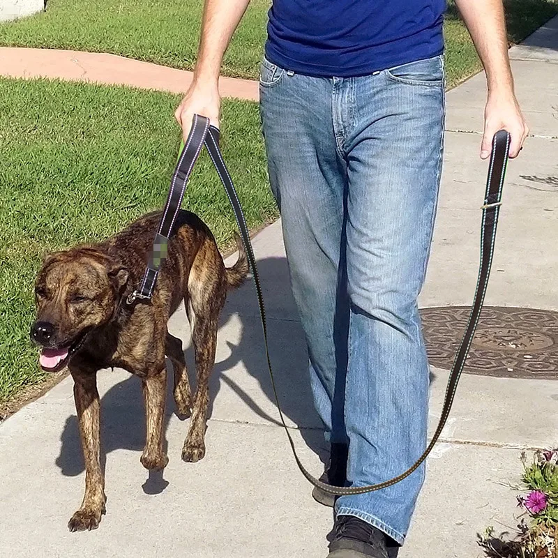 Heavy Duty Big Dog Leash with Extra Traffic Handle 5 Feet Long Pet