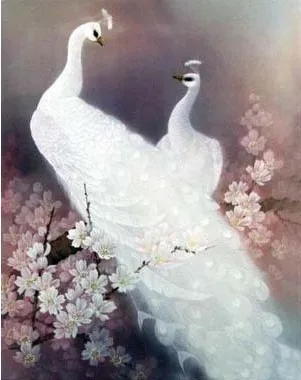 

Stitch Needlework,DIY Cross stitch animals white peacocks lover,Sets For Embroidery kits Patterns 11ct printed Cross-Stitching