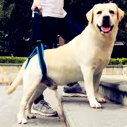 2019 собака Лифт жгут для задних ног Pet поддержка слинг помочь слабые ноги встать