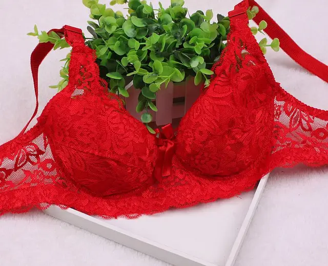 Summer Sexy Bra Plus size thin Lace Mesh Hollow floral adjustable Push