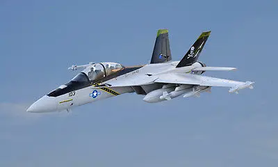 Scale SkyFlight LX EPS Twin 70MM EDF F18 Jolly Roger PNP/ARF RC Airplane Model W/ Motor Servos ESC W/O Battery