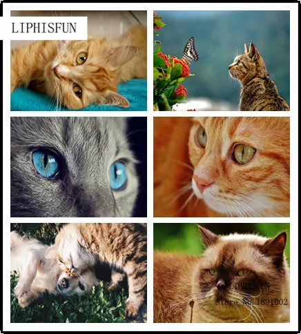 5D Diy Diamond Embroidery Lover Cats Painting Cross Stitch Full Drill Rhinestone Mosaic Home Decoration | Дом и сад