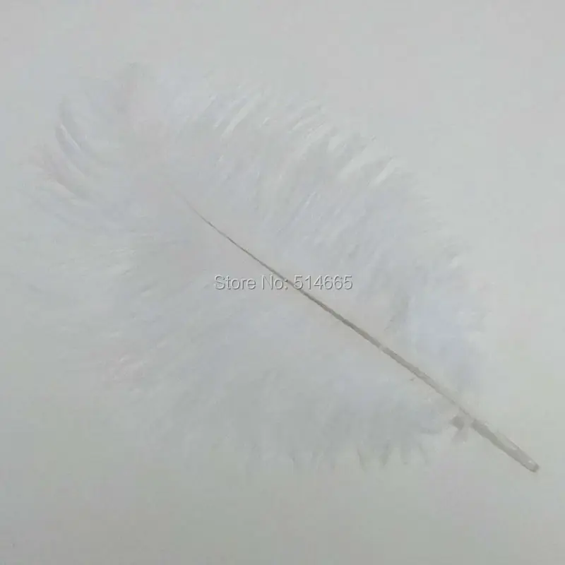 DSC03360