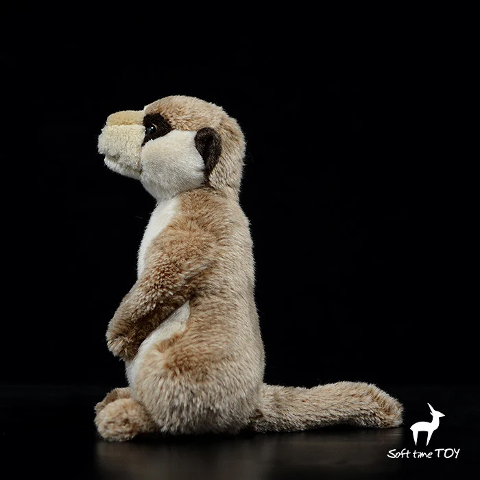 meerkat doll