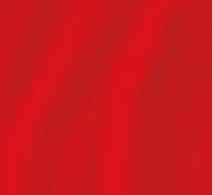 

2019 - 2020