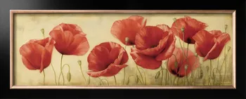 

Modern art paintings flower Poppies Grace oil on canvas home decor handmade High quality