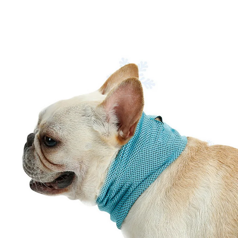 

Hoomall Ice Dog Collar High Quality Polyster Breathable Cooling Collar For Medium Large Dogs Summer Pet Dog Gadgets Leashes