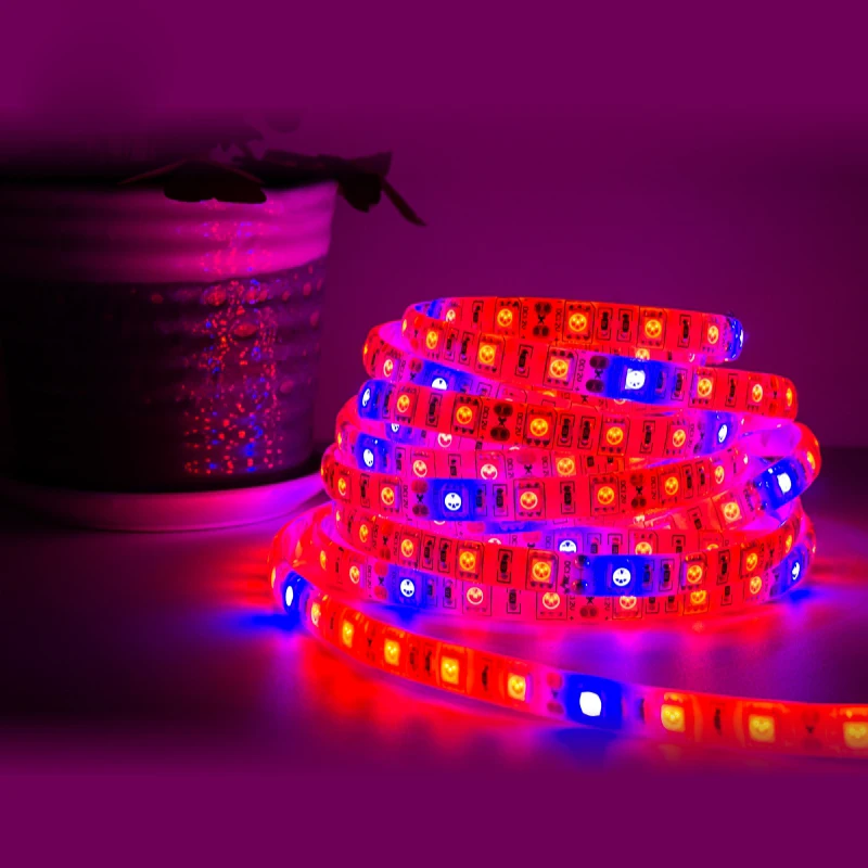  LED 5M Grow Light Strip S5050 3/4/5 Red 1 Blue Full Spectrum IP65 Phyto Lamp DC12V Fitolamp for Gre - 33012191374