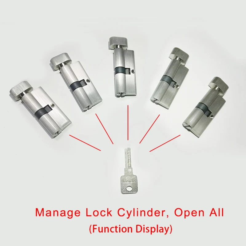 Замки латунные cylinderуправление же ключ открыть все цилиндр 60 70 75 80 85 90 мм двери Аппаратные средства безопасности одиночный Блокировка
