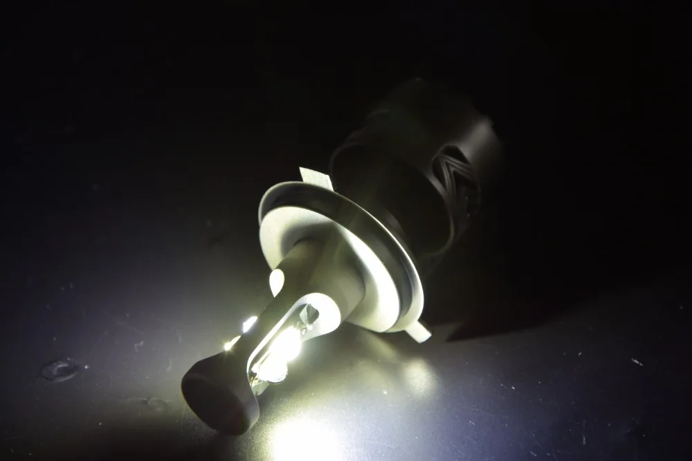 DSC_0460