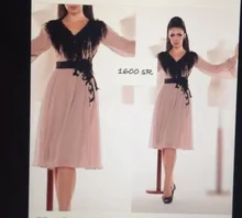 2016 elegante chiffon abendkleid Eine linie abendkleider mit federn.