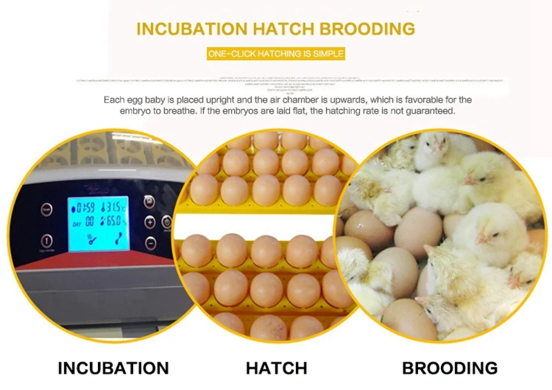 Инкубатор для яиц 56 S, полностью автоматический инкубатор для яиц, машина для инкубации куриных уток, голубей, перепелиных попугаев, черепах, птиц