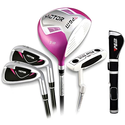 Golf clubs (6)