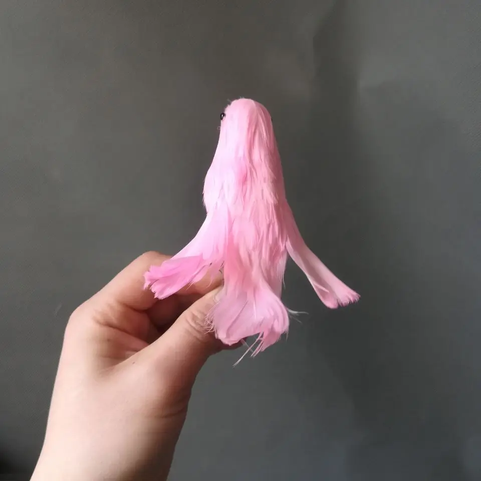 27