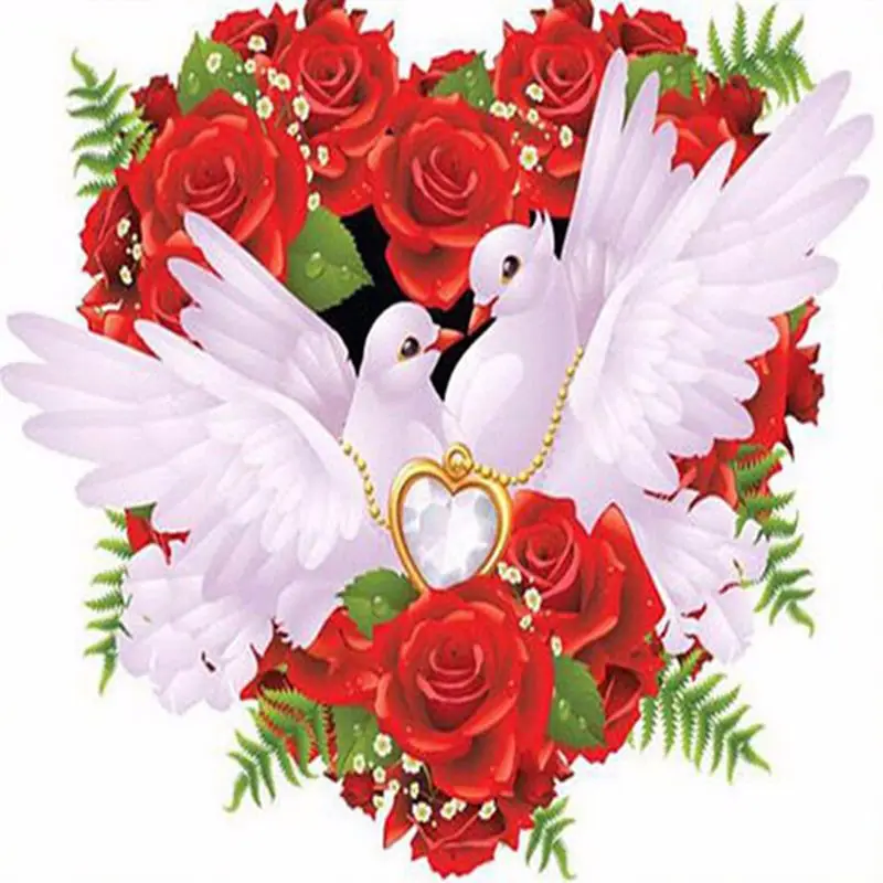 1 Set Pigeon Pattern 5D Round Resin Diamond Canvas+Diamonds+Glue For Home decoration Boondoggle 30x30cm | Дом и сад