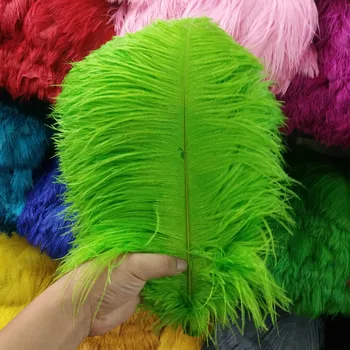 

New 100PCS pretty 30-35cm/12-14 inches high quality Fruit green ostrich feather Plume wedding decoration craft /DIY accessories