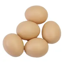 5 шт. курица птицы моделирование Искусственные Поддельные пластиковые яйца для курицы утиные, гусиные люки инкубации разведение